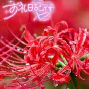 ヒメ日記 2026/10/04 16:15 投稿 初音(はつね) 高知デリヘル倶楽部 人妻熟女専門店