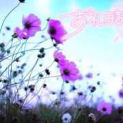 ヒメ日記 2026/10/07 16:43 投稿 初音(はつね) 高知デリヘル倶楽部 人妻熟女専門店