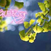ヒメ日記 2026/10/09 19:21 投稿 初音(はつね) 高知デリヘル倶楽部 人妻熟女専門店