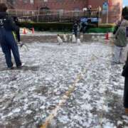 ヒメ日記 2026/02/02 12:55 投稿 ナカマ 札幌★出張マッサージ委員会