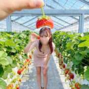 ヒメ日記 2026/04/18 17:17 投稿 かな Lounge Yoki東京