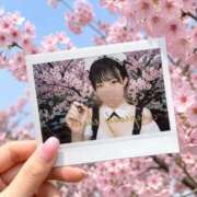 ヒメ日記 2026/06/04 11:07 投稿 かな Lounge Yoki東京