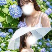 ヒメ日記 2026/07/07 22:07 投稿 かな Lounge Yoki東京