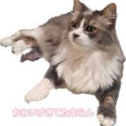 ヒメ日記 2025/07/27 02:39 投稿 高城えみり 一夜妻