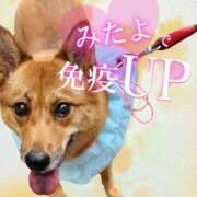 ヒメ日記 2025/09/06 19:01 投稿 高城えみり 一夜妻