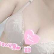 ヒメ日記 2025/10/05 00:19 投稿 芹亜(せりあ) チューリップ宇都宮店