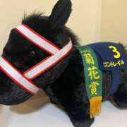 ヒメ日記 2025/07/20 21:56 投稿 えま ぷるるんマダム 難波店