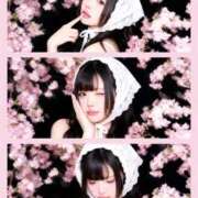 ヒメ日記 2026/04/23 19:00 投稿 モネ AMOUR（アムール）