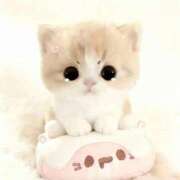 ヒメ日記 2026/04/29 14:51 投稿 モネ AMOUR（アムール）