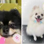 ヒメ日記 2025/07/07 18:46 投稿 凛々花-りりか【FG系列】 ほんとうの人妻 横浜本店