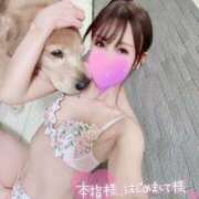 ヒメ日記 2025/07/30 15:07 投稿 凛々花-りりか【FG系列】 ほんとうの人妻 横浜本店