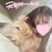 ヒメ日記 2025/08/19 17:11 投稿 凛々花-りりか【FG系列】 ほんとうの人妻 横浜本店