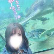 ヒメ日記 2025/10/01 21:20 投稿 凛々花-りりか【FG系列】 ほんとうの人妻 横浜本店