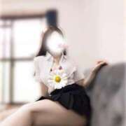 ヒメ日記 2025/10/29 09:31 投稿 綾瀬　ひかり ナディア（奈良）