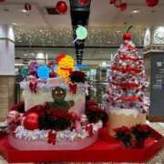 綾瀬　ひかり きょう ナディア（奈良）