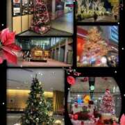 ヒメ日記 2025/12/26 00:31 投稿 綾瀬　ひかり ナディア（奈良）