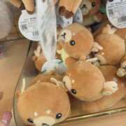 ヒメ日記 2026/02/21 12:31 投稿 綾瀬　ひかり ナディア（奈良）