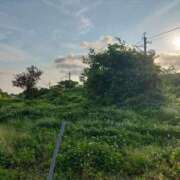 ヒメ日記 2026/03/09 08:31 投稿 綾瀬　ひかり ナディア（奈良）