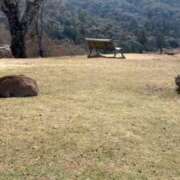 ヒメ日記 2026/03/27 00:31 投稿 綾瀬　ひかり ナディア（奈良）