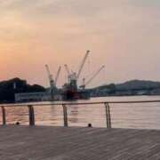 ヒメ日記 2026/03/29 06:21 投稿 綾瀬　ひかり ナディア（奈良）