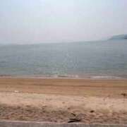 ヒメ日記 2026/03/29 07:51 投稿 綾瀬　ひかり ナディア（奈良）