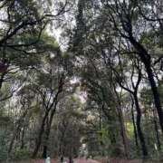 ヒメ日記 2026/04/01 17:34 投稿 綾瀬　ひかり ナディア（奈良）