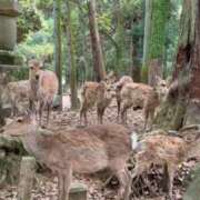 ヒメ日記 2026/05/07 00:01 投稿 綾瀬　ひかり ナディア（奈良）