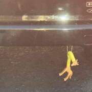 ヒメ日記 2025/08/23 20:08 投稿 ゆずみ 新橋フェアリーズ