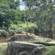 ヒメ日記 2025/10/20 20:23 投稿 ゆずみ 新橋フェアリーズ