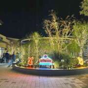 ヒメ日記 2025/11/09 20:27 投稿 ゆずみ 新橋フェアリーズ