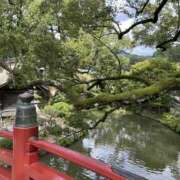 ヒメ日記 2025/11/11 21:27 投稿 ゆずみ 新橋フェアリーズ