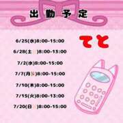 ヒメ日記 2025/06/24 12:16 投稿 てと ナチュラルプリンセス