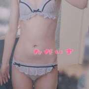 ヒメ日記 2025/09/16 11:50 投稿 てと ナチュラルプリンセス