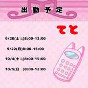 ヒメ日記 2025/09/16 17:06 投稿 てと ナチュラルプリンセス