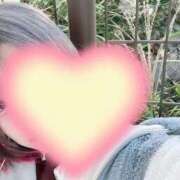 ヒメ日記 2025/11/23 08:15 投稿 てと ナチュラルプリンセス