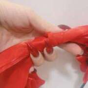 ヒメ日記 2025/12/24 06:15 投稿 てと ナチュラルプリンセス