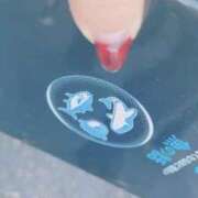 ヒメ日記 2025/12/29 07:25 投稿 てと ナチュラルプリンセス