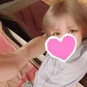 ヒメ日記 2025/12/29 08:45 投稿 てと ナチュラルプリンセス