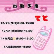 ヒメ日記 2025/12/29 12:05 投稿 てと ナチュラルプリンセス