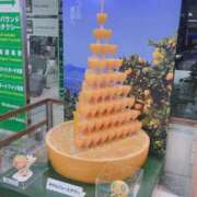 ヒメ日記 2025/12/30 20:05 投稿 てと ナチュラルプリンセス