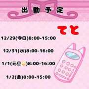 ヒメ日記 2025/12/31 09:25 投稿 てと ナチュラルプリンセス