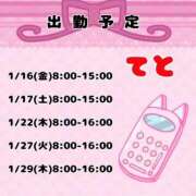 ヒメ日記 2026/01/16 12:05 投稿 てと ナチュラルプリンセス