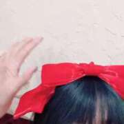 ヒメ日記 2026/01/29 12:57 投稿 てと ナチュラルプリンセス