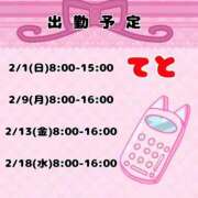 ヒメ日記 2026/01/29 19:35 投稿 てと ナチュラルプリンセス