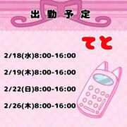 ヒメ日記 2026/02/15 16:55 投稿 てと ナチュラルプリンセス