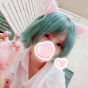 ヒメ日記 2026/02/17 09:13 投稿 てと ナチュラルプリンセス