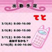 ヒメ日記 2026/02/27 16:05 投稿 てと ナチュラルプリンセス