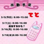てと ぬくぬくし...たかったごめんなさい ナチュラルプリンセス