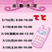ヒメ日記 2026/03/16 07:46 投稿 てと ナチュラルプリンセス