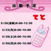 ヒメ日記 2026/03/18 19:45 投稿 てと ナチュラルプリンセス